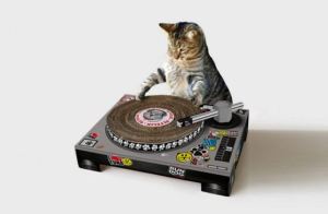 Cat-DJ-Scratch-Set-1