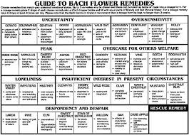 Image result for bach flower and essential oil