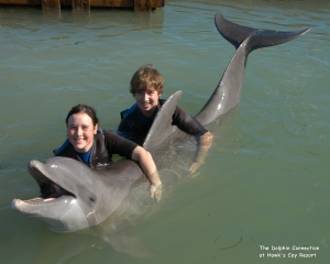 dolphin photos 07 002 (2)
