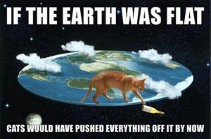 Cats Earth was flat