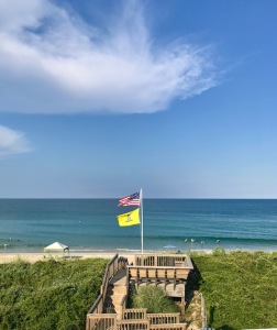 OBX flags 2019